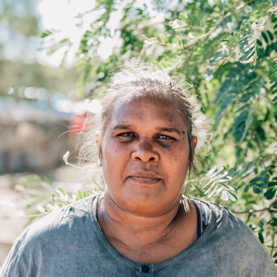 Pilbara Rocks and River System – Colours of our Country